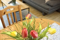 Foto-23.02.25-11-50-12