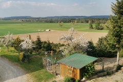 Riedblick-13