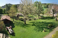 Gartenblick 2